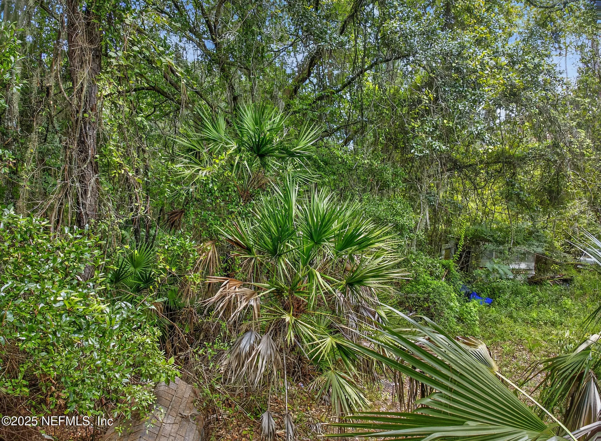 933 John Street St. Augustine FL 32084