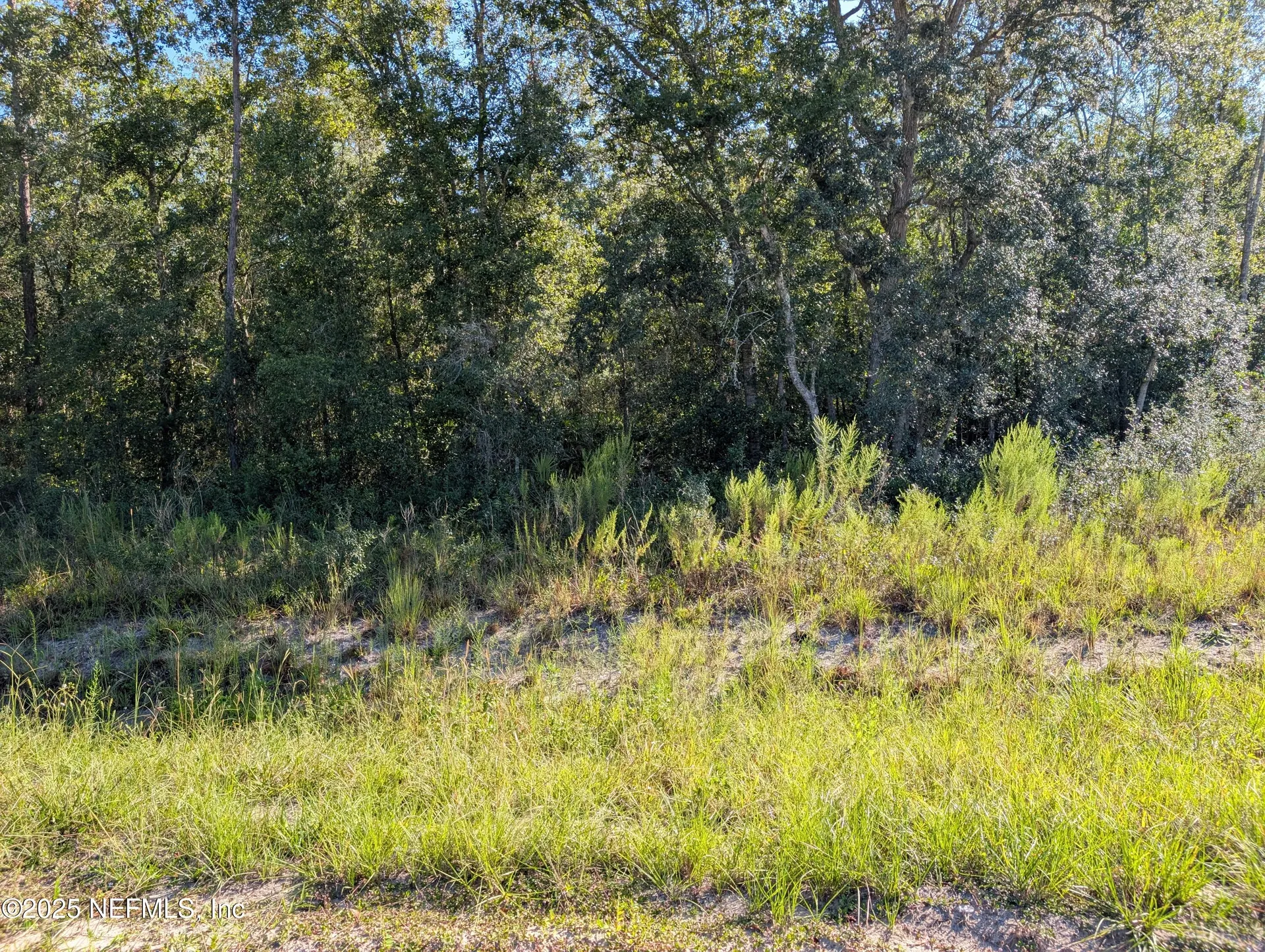 0010 Cordell & Boundary Interlachen FL 32148