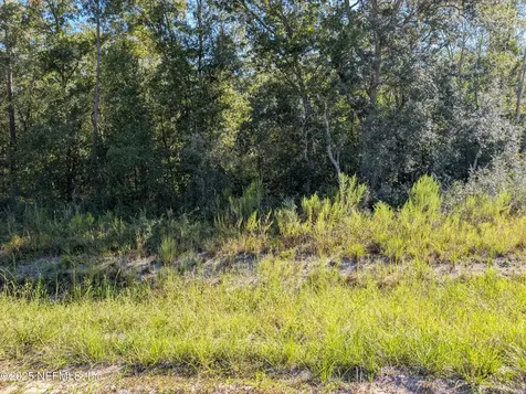 0010 Cordell & Boundary Interlachen FL 32148