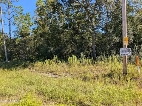 0010 Cordell & Boundary Interlachen FL 32148