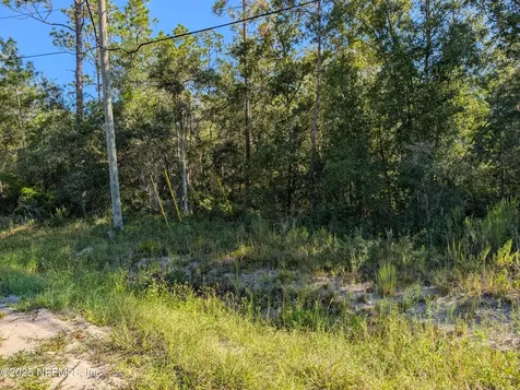 0010 Cordell & Boundary Interlachen FL 32148
