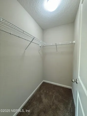 3079 Greywood Lane Orange Park FL 32073