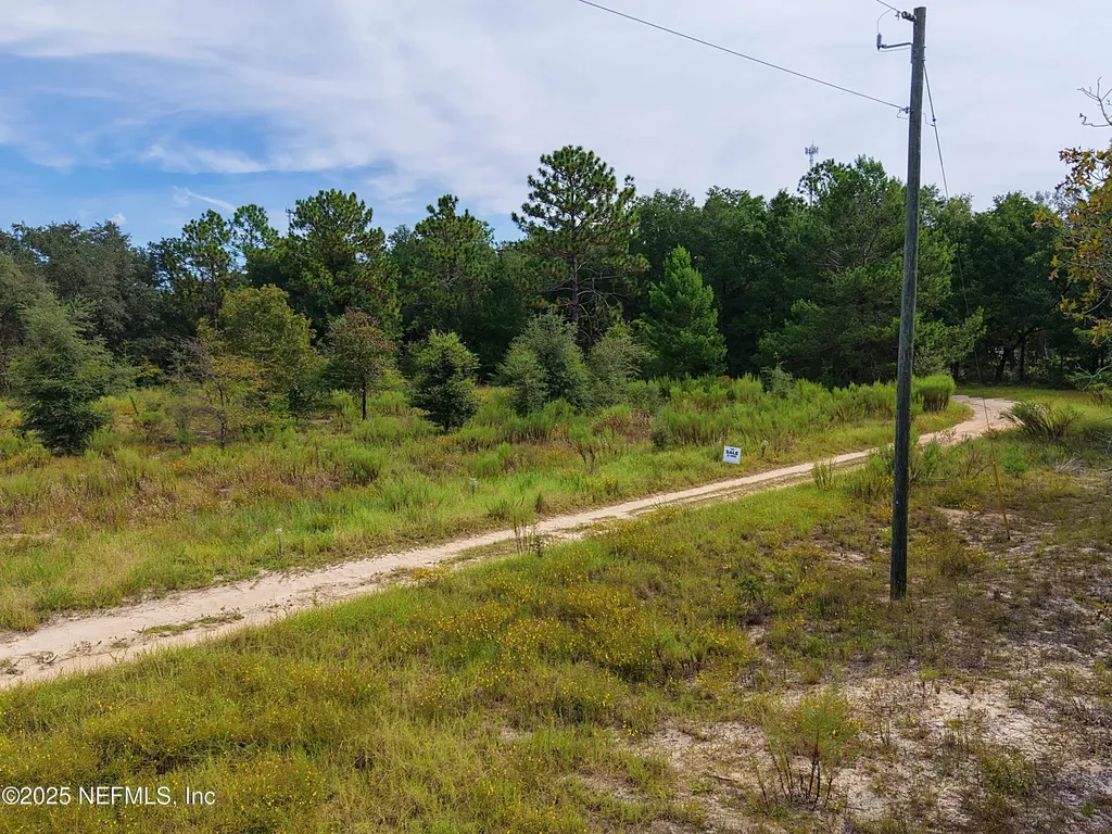 347 Chesser Monroe Road Hawthorne FL 32640