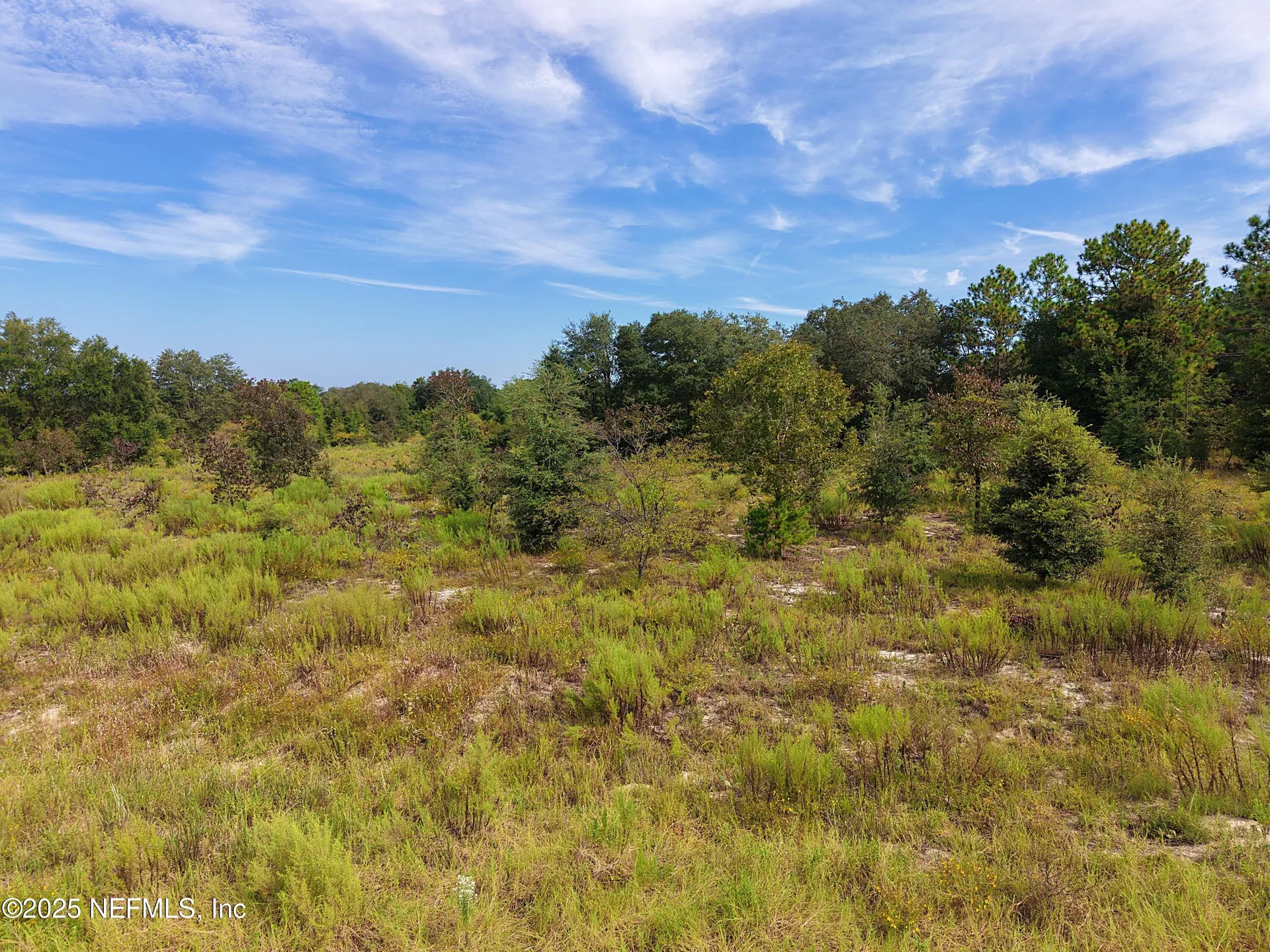 347 Chesser Monroe Road Hawthorne FL 32640