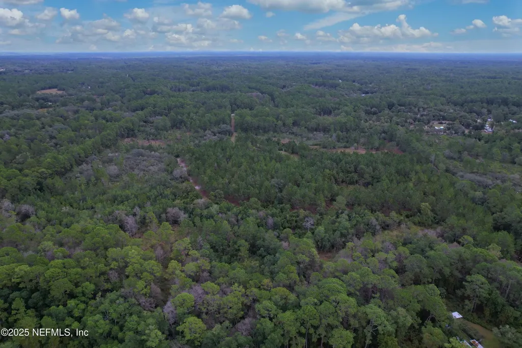 139 Lakeway Drive Georgetown FL 32139