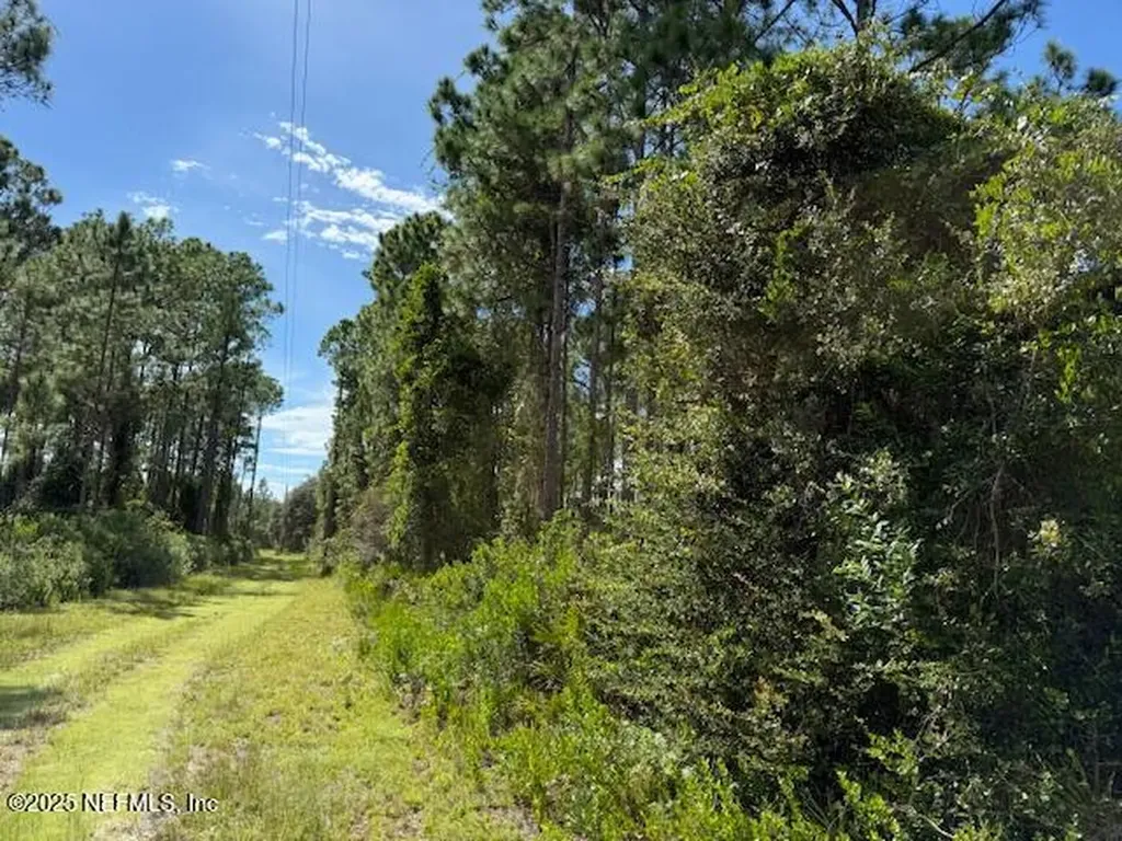 139 Lakeway Drive Georgetown FL 32139