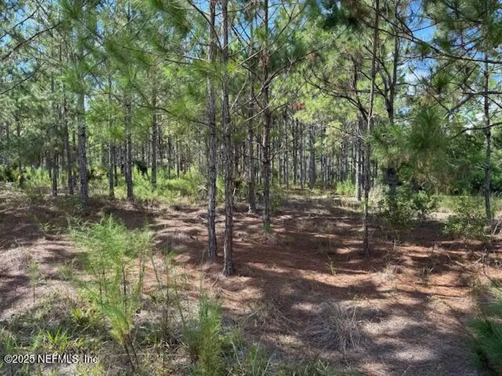 139 Lakeway Drive Georgetown FL 32139