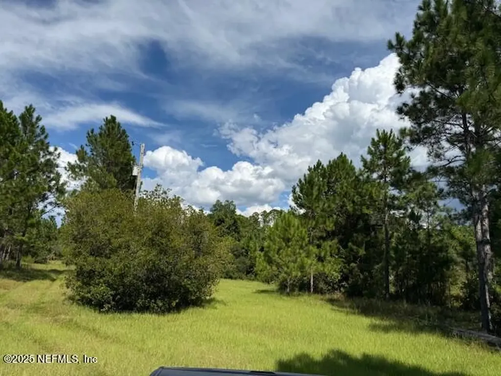 139 Lakeway Drive Georgetown FL 32139