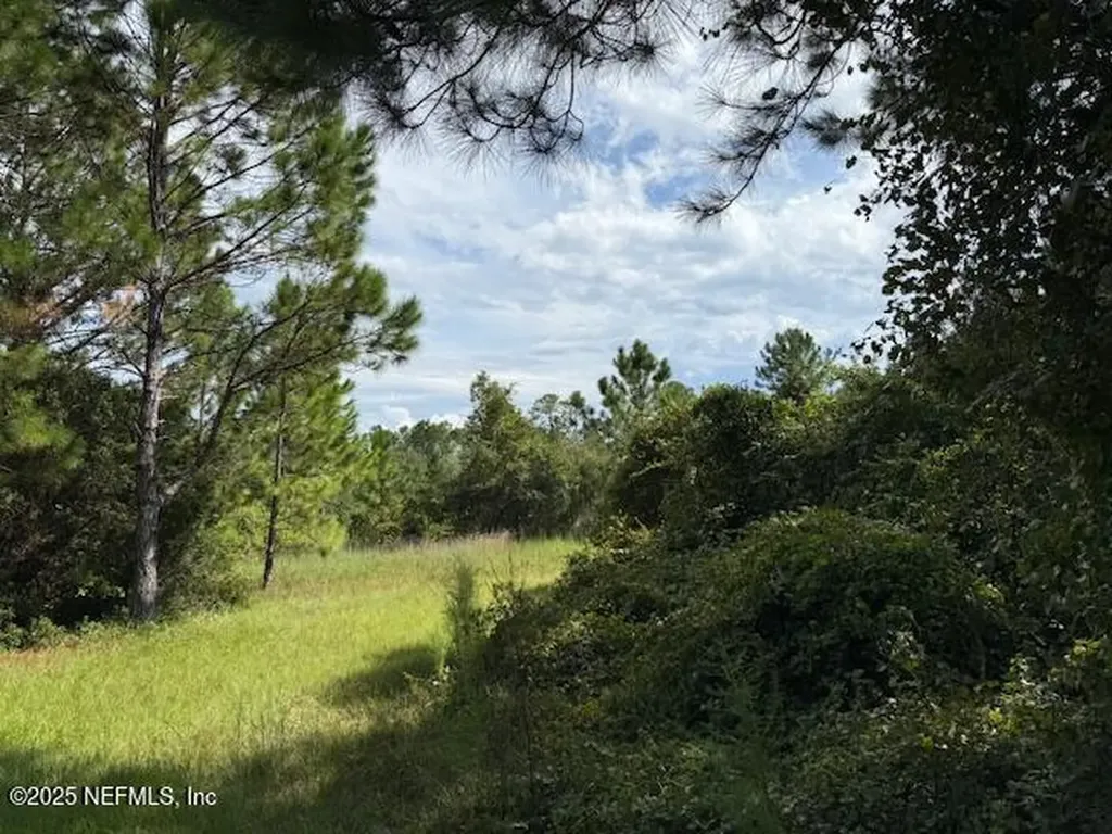 139 Lakeway Drive Georgetown FL 32139