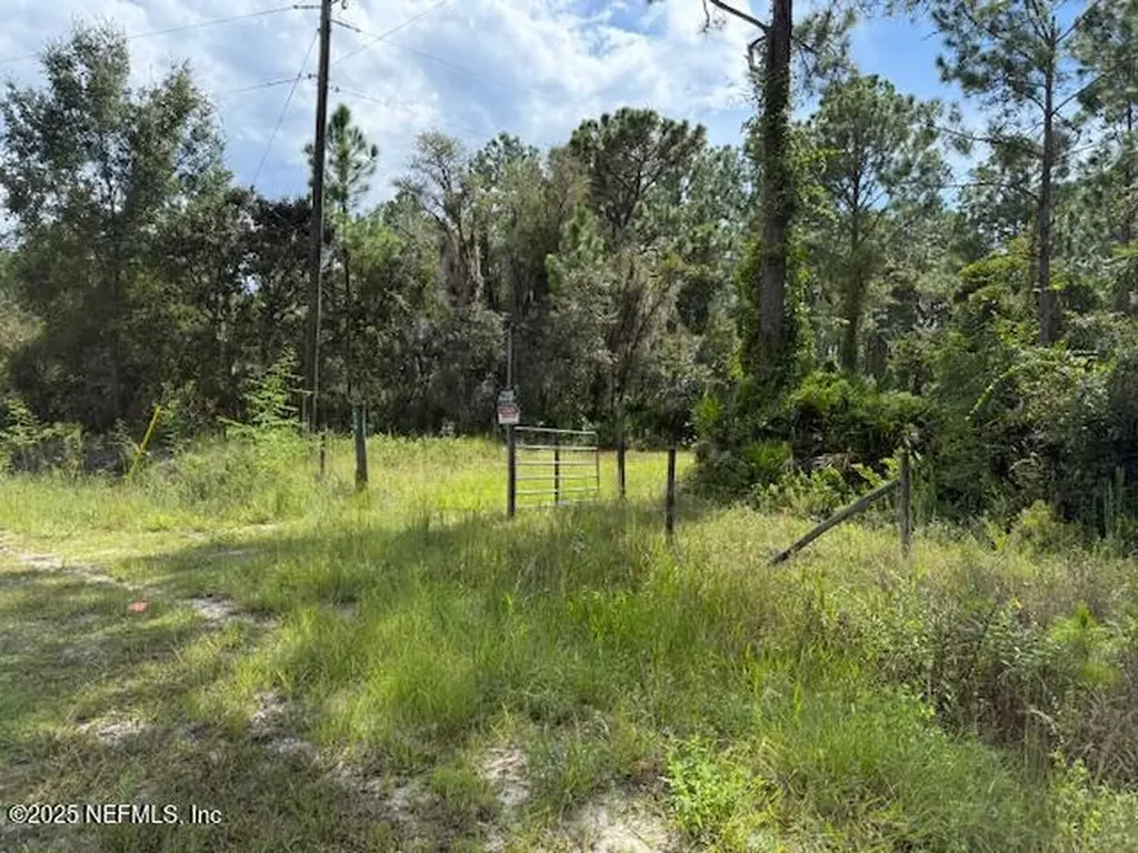 139 Lakeway Drive Georgetown FL 32139