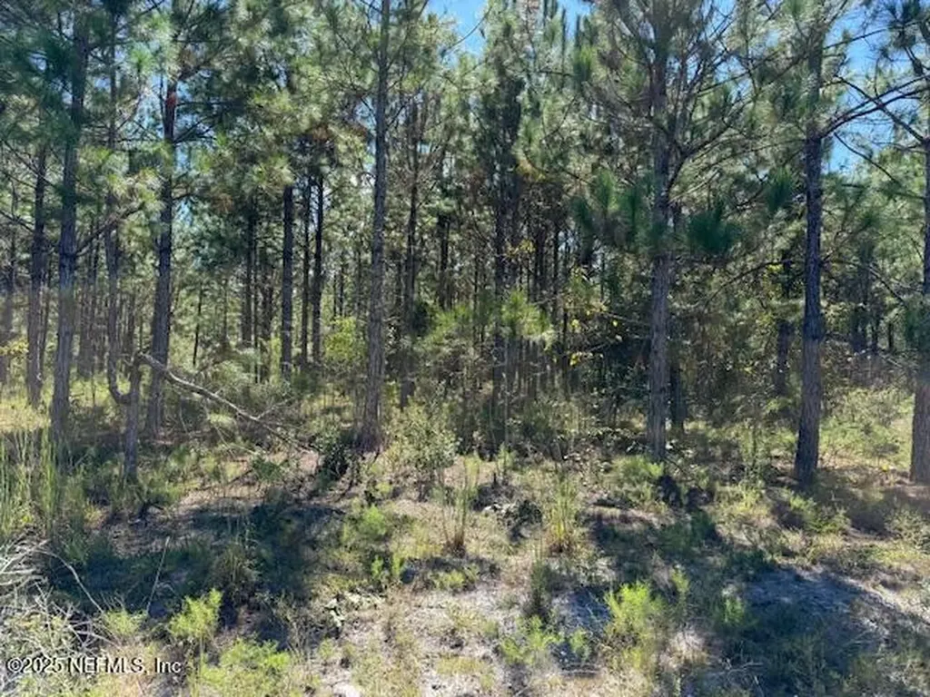 139 Lakeway Drive Georgetown FL 32139