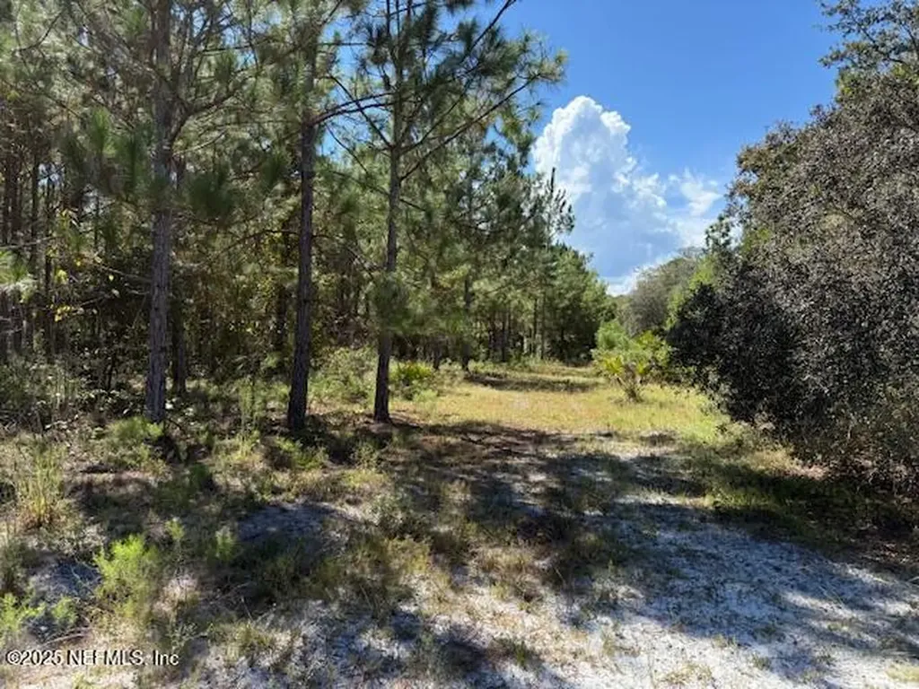 139 Lakeway Drive Georgetown FL 32139