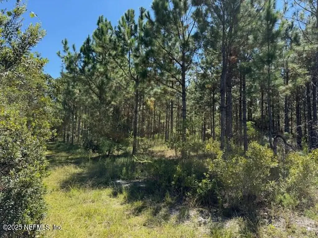 139 Lakeway Drive Georgetown FL 32139