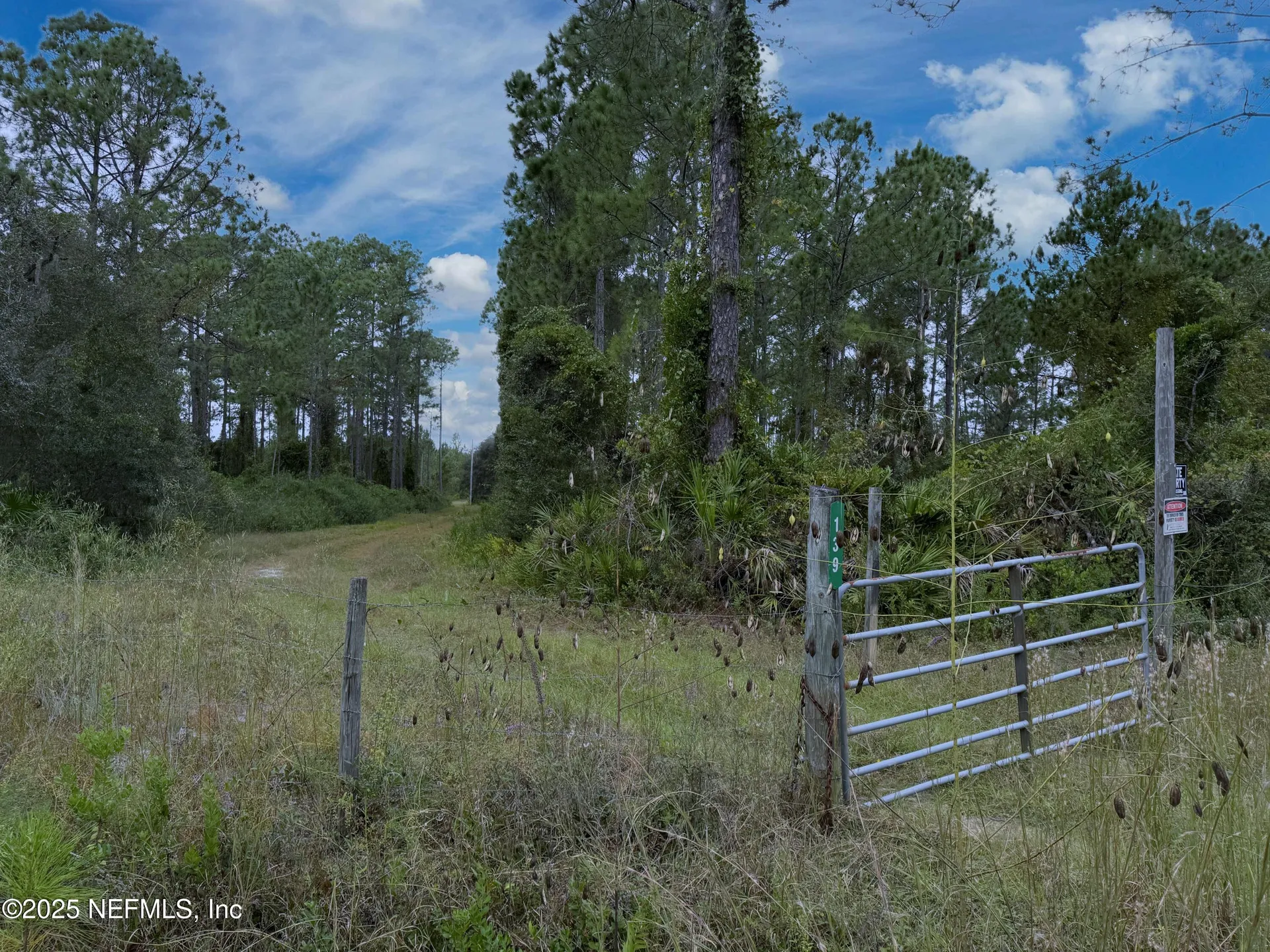 139 Lakeway Drive Georgetown FL 32139