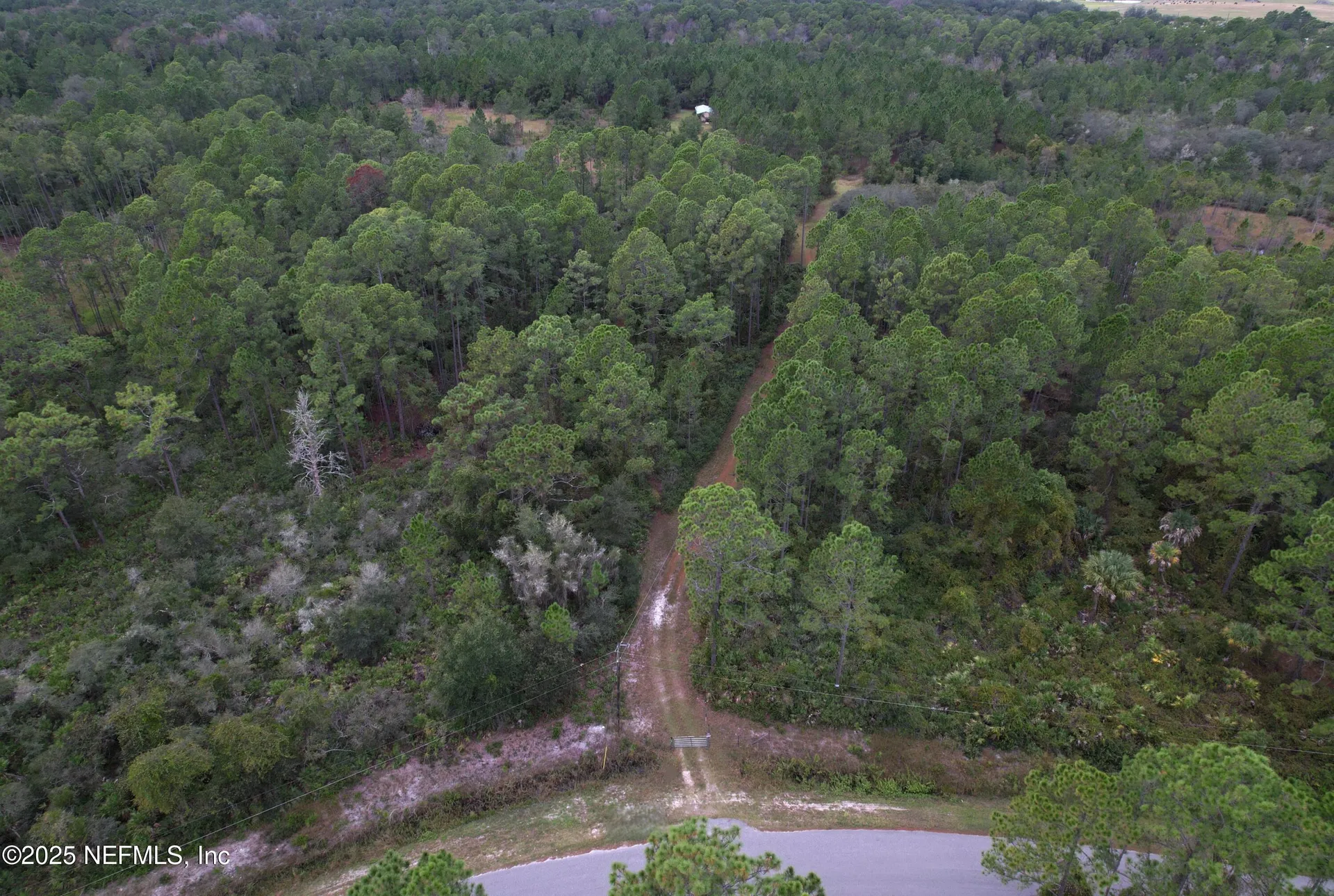 139 Lakeway Drive Georgetown FL 32139
