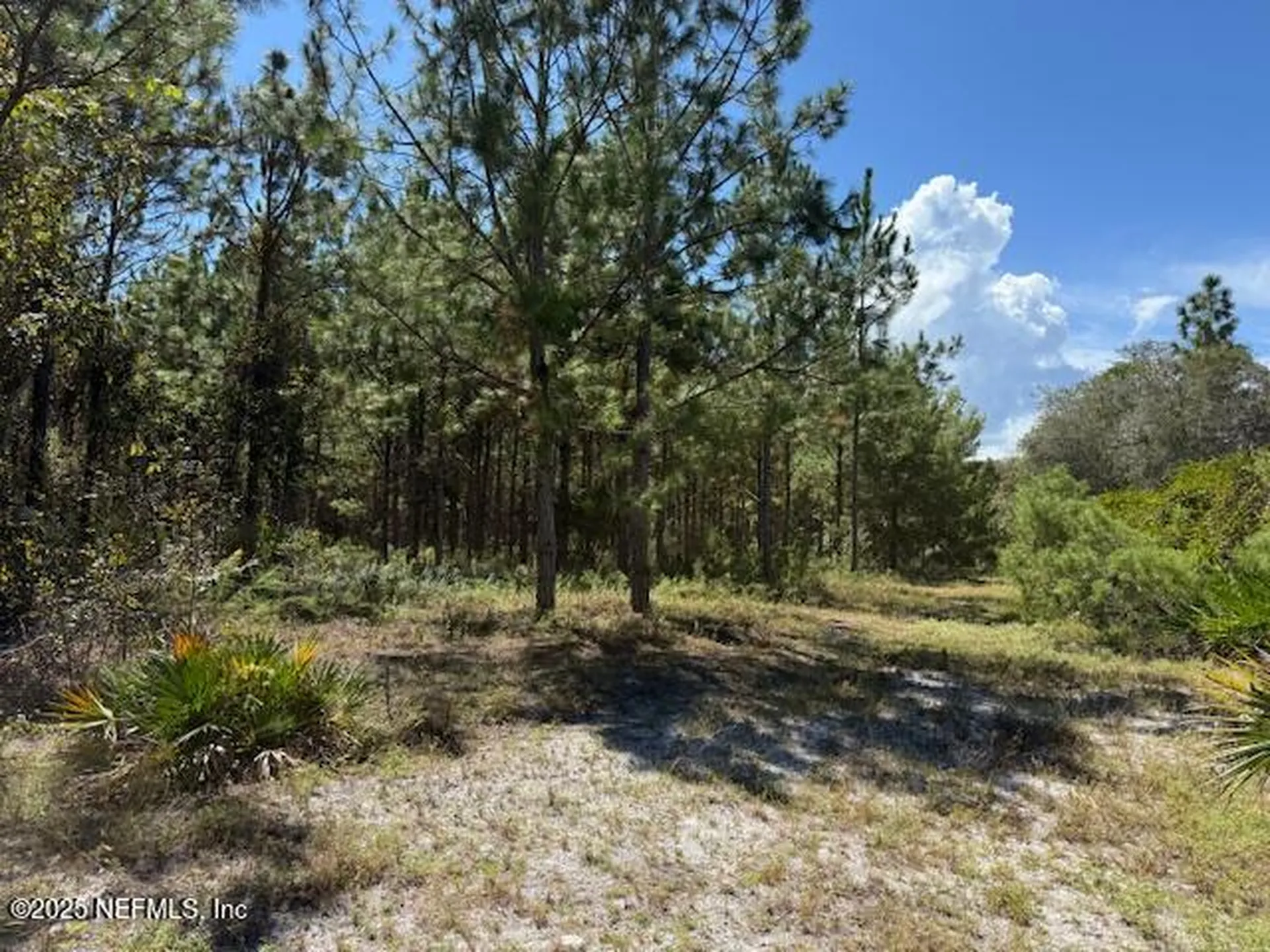 139 Lakeway Drive Georgetown FL 32139