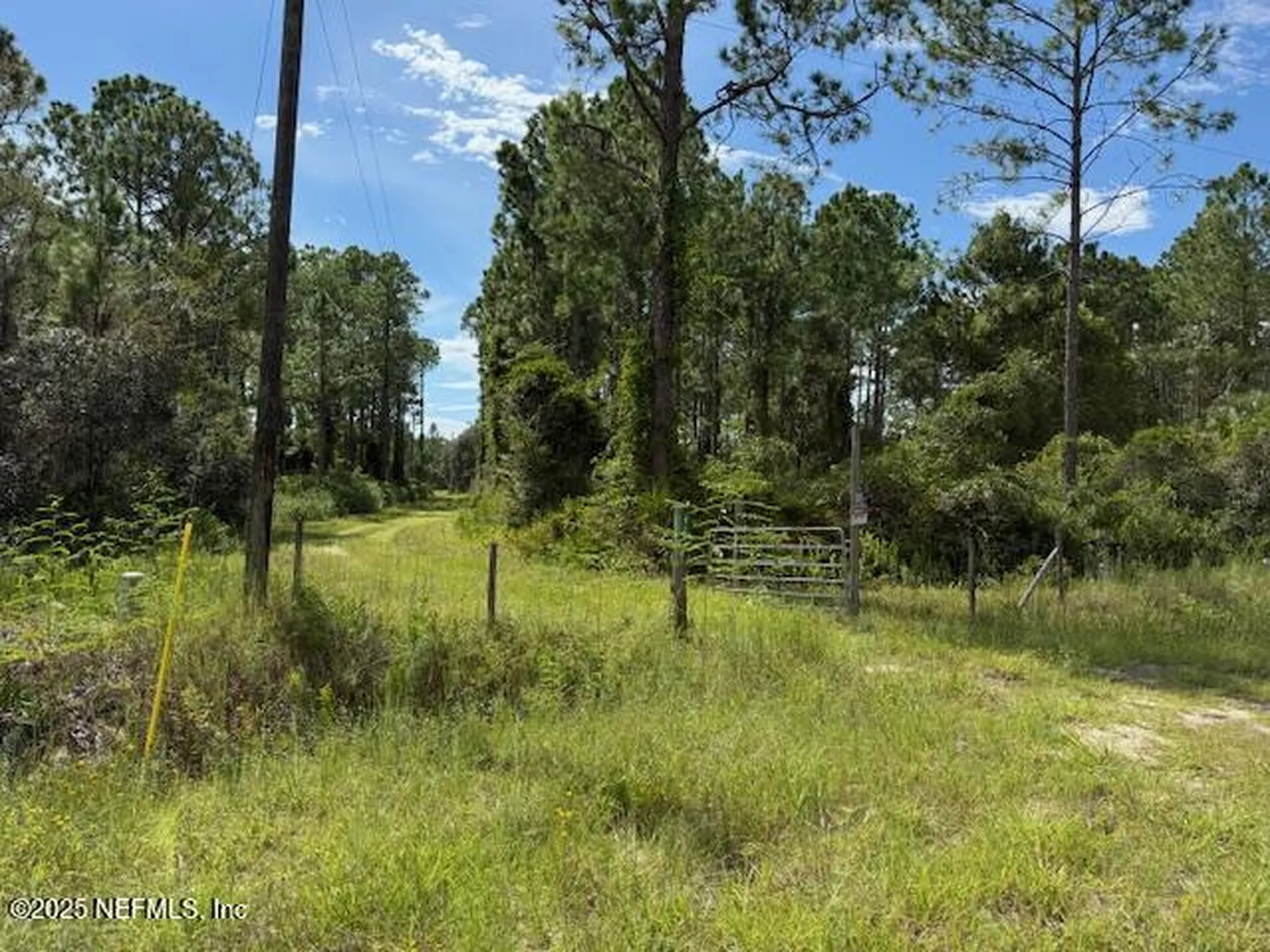 139 Lakeway Drive Georgetown FL 32139