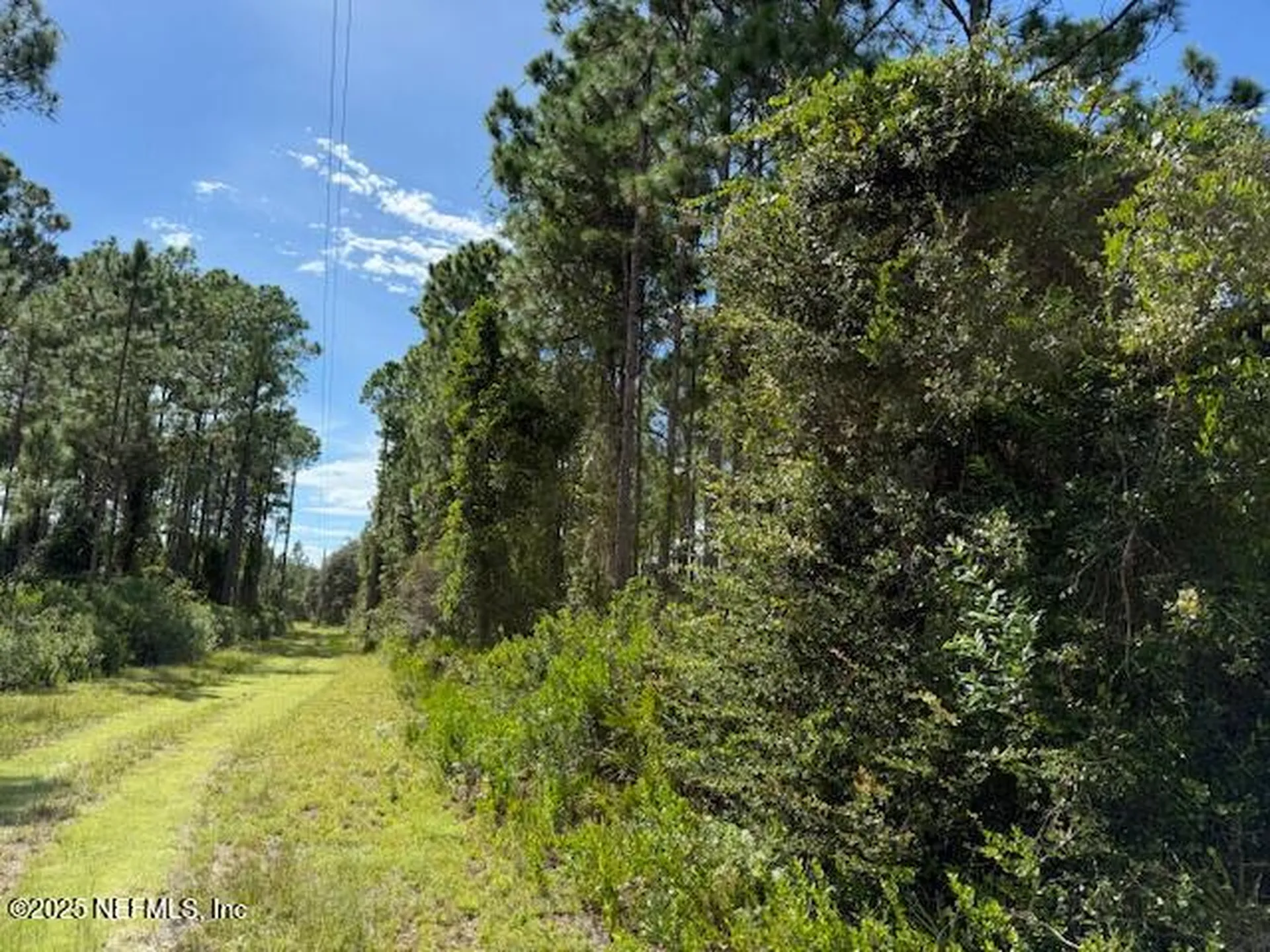139 Lakeway Drive Georgetown FL 32139