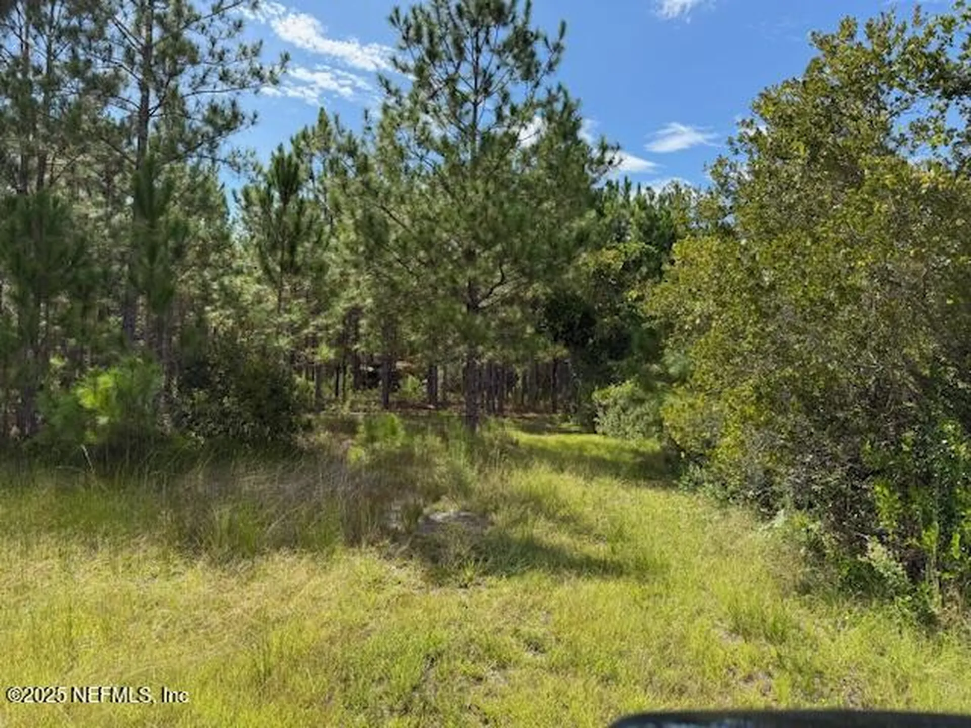 139 Lakeway Drive Georgetown FL 32139
