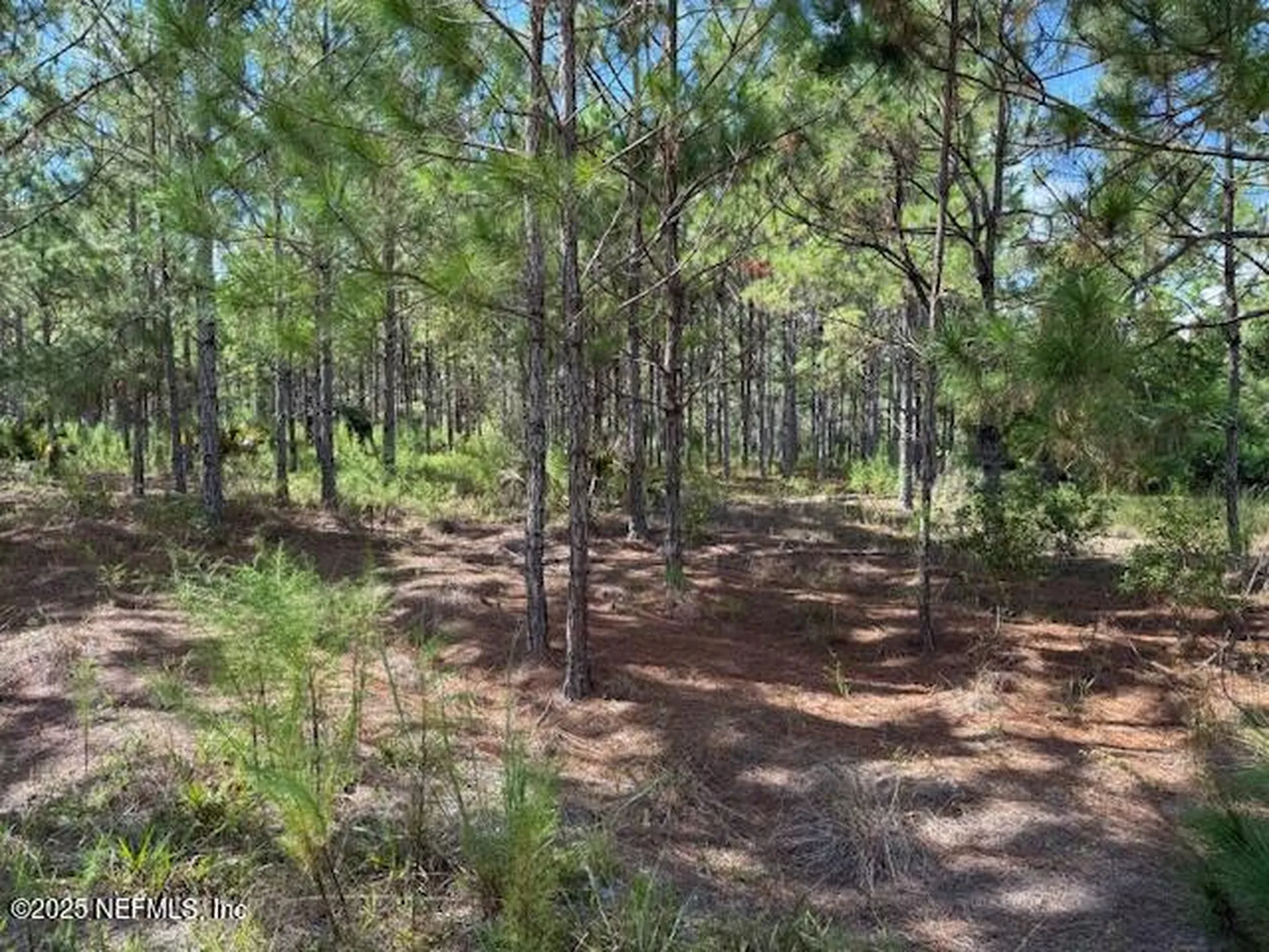 139 Lakeway Drive Georgetown FL 32139