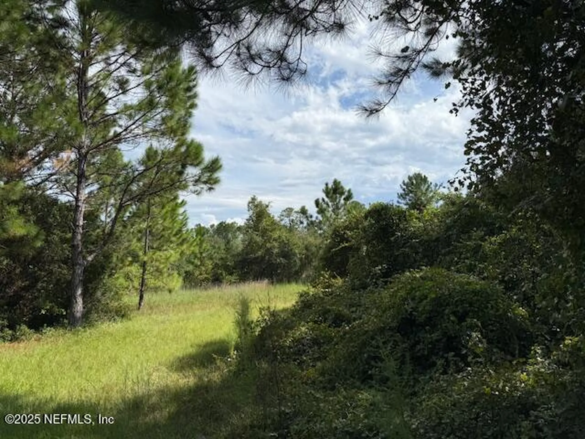 139 Lakeway Drive Georgetown FL 32139