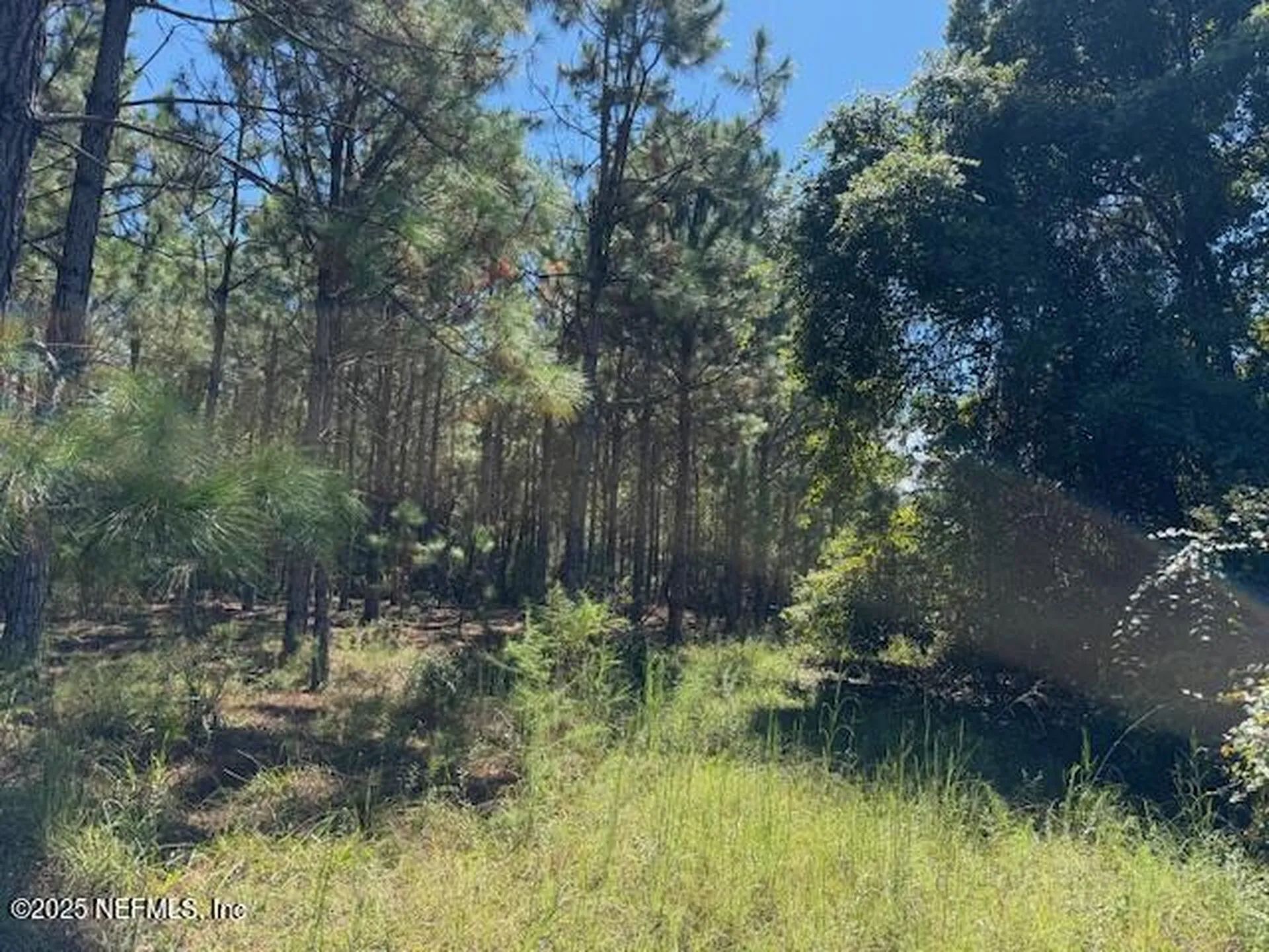 139 Lakeway Drive Georgetown FL 32139