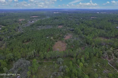 139 Lakeway Drive Georgetown FL 32139