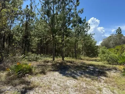 139 Lakeway Drive Georgetown FL 32139