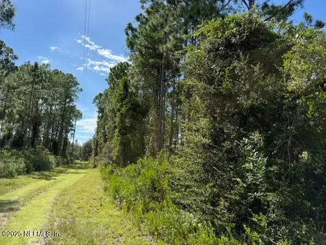 139 Lakeway Drive Georgetown FL 32139