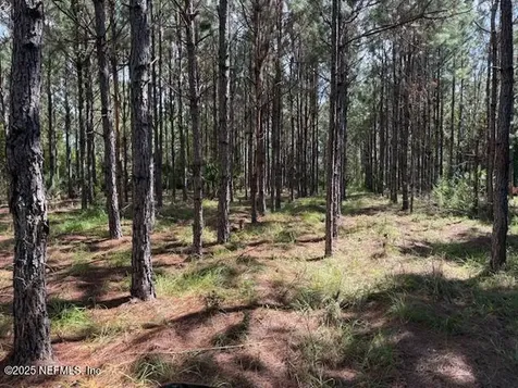 139 Lakeway Drive Georgetown FL 32139