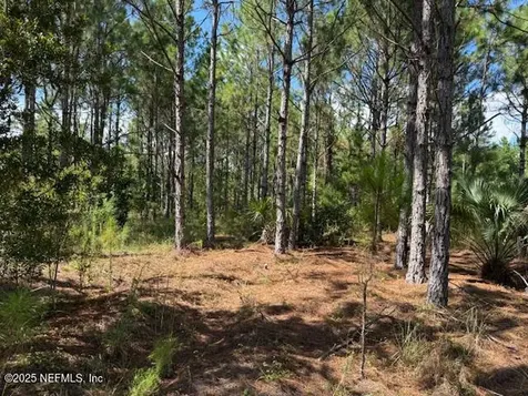 139 Lakeway Drive Georgetown FL 32139