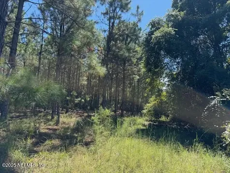 139 Lakeway Drive Georgetown FL 32139