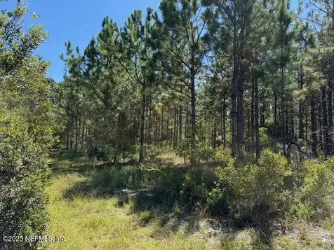 139 Lakeway Drive Georgetown FL 32139