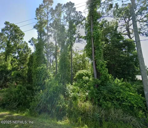 0 Dobbs Road St. Augustine FL 32086