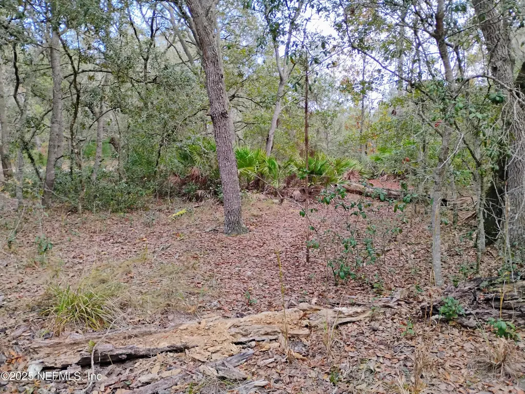 244 Thompson Avenue Interlachen FL 32148