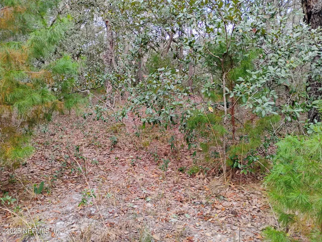 244 Thompson Avenue Interlachen FL 32148
