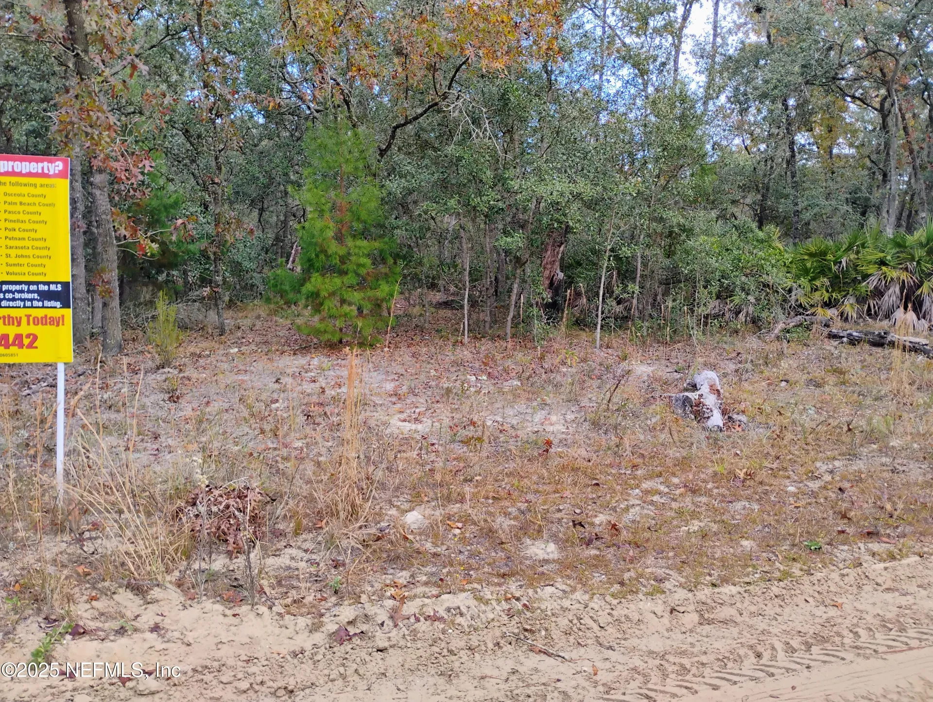 244 Thompson Avenue Interlachen FL 32148