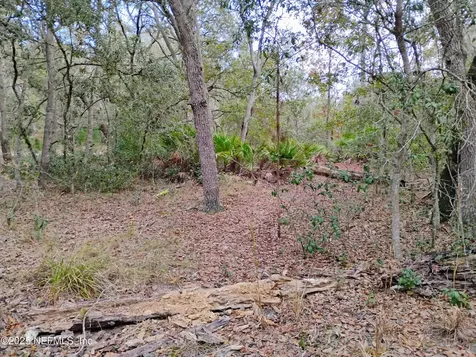 244 Thompson Avenue Interlachen FL 32148