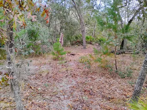 244 Thompson Avenue Interlachen FL 32148