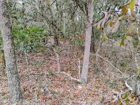 244 Thompson Avenue Interlachen FL 32148