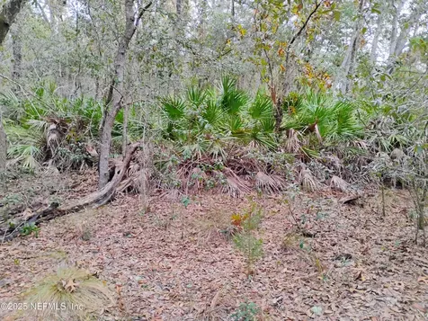 244 Thompson Avenue Interlachen FL 32148