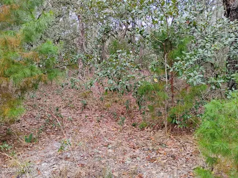 244 Thompson Avenue Interlachen FL 32148
