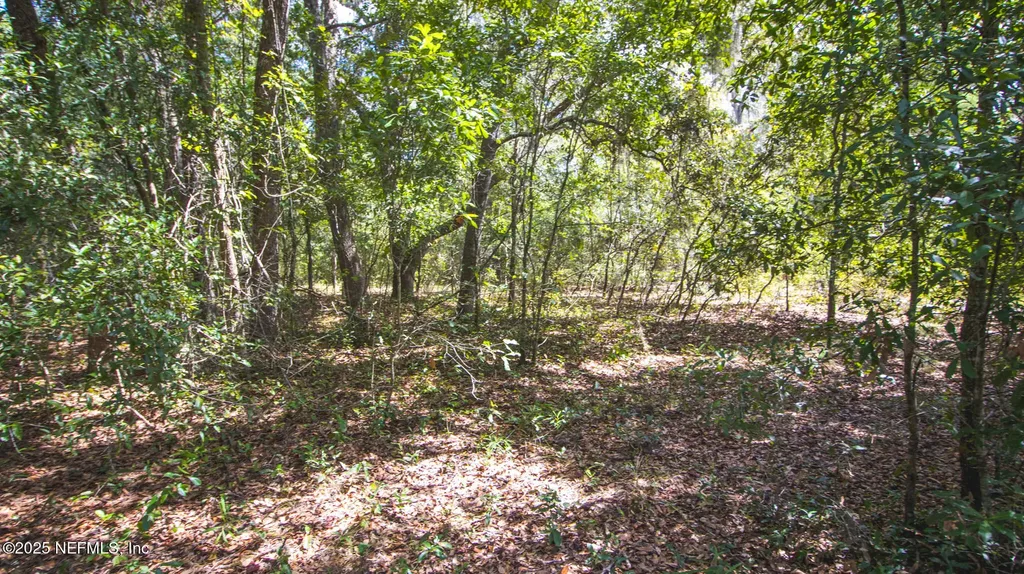 23172 SE 120th Place Hawthorne FL 32640
