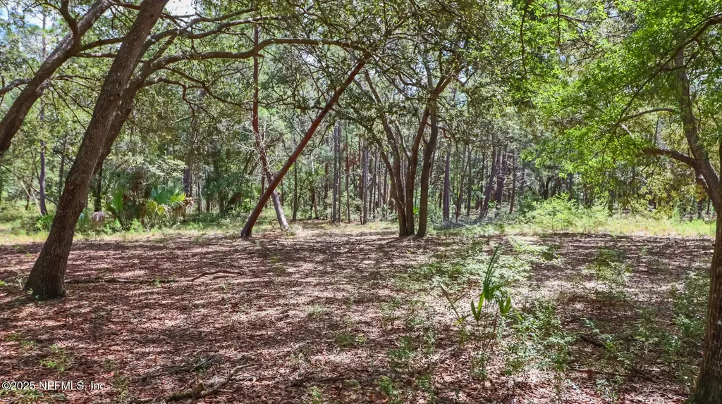 23172 SE 120th Place Hawthorne FL 32640