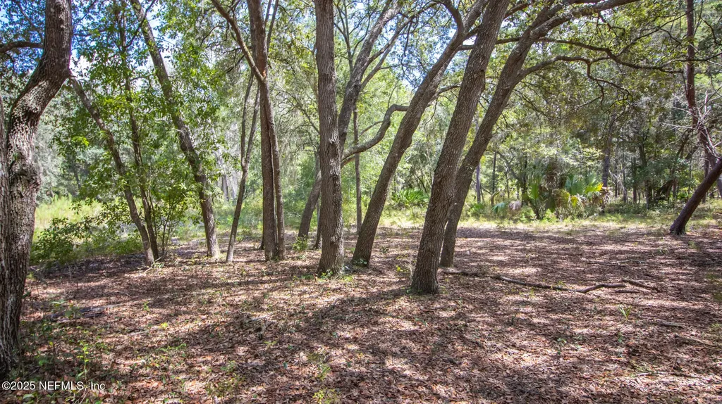 23172 SE 120th Place Hawthorne FL 32640