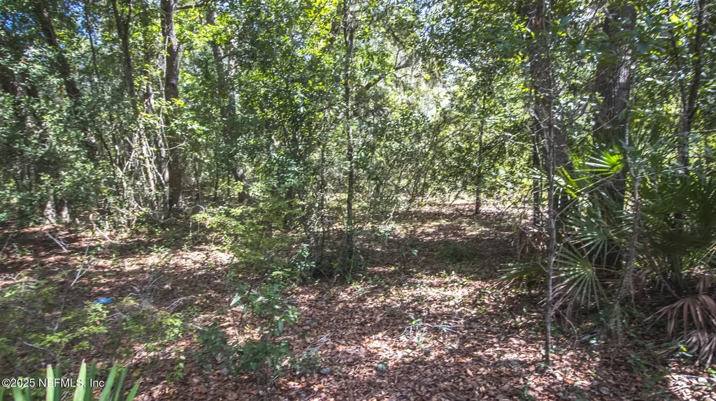 23172 SE 120th Place Hawthorne FL 32640