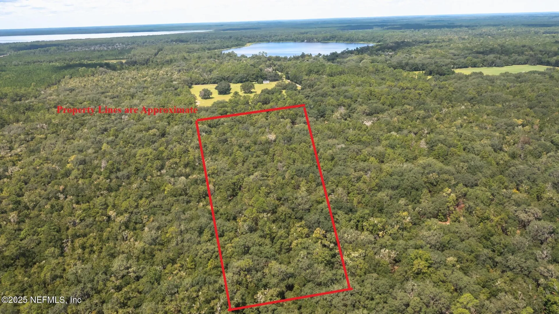 23172 SE 120th Place Hawthorne FL 32640