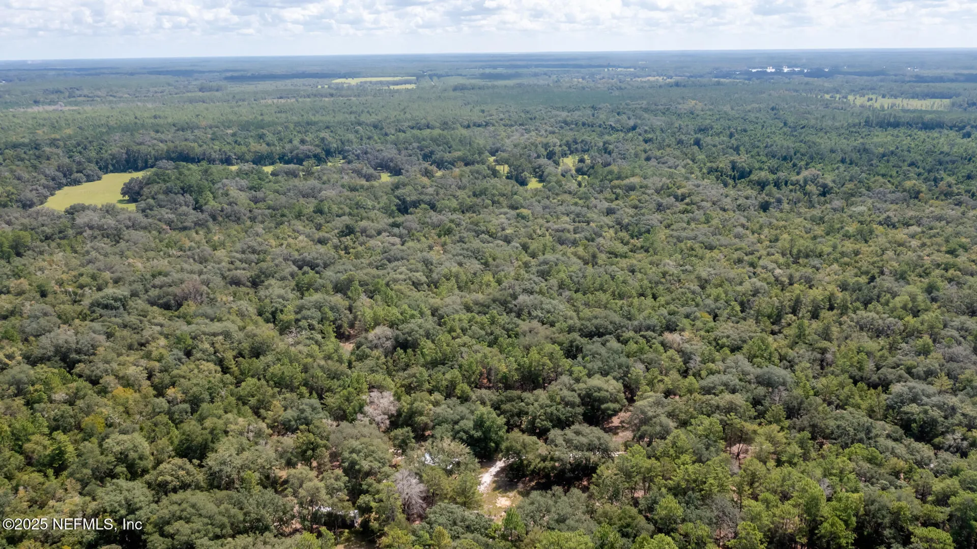 23172 SE 120th Place Hawthorne FL 32640