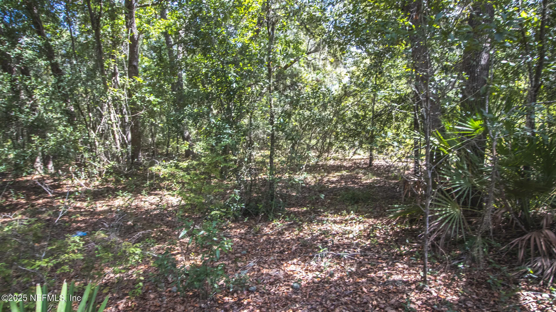 23172 SE 120th Place Hawthorne FL 32640