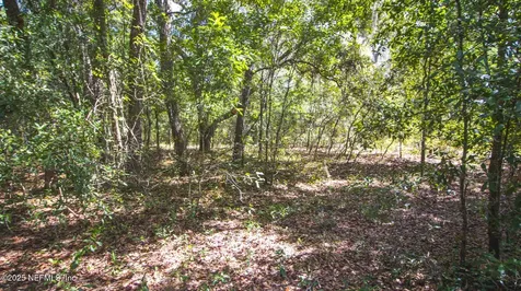 23172 SE 120th Place Hawthorne FL 32640